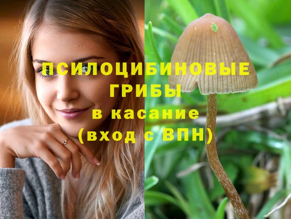 дживик Заволжск