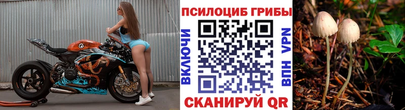 наркошоп  Игарка  Псилоцибиновые грибы мицелий 